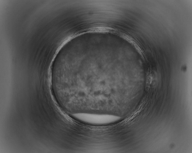 X0000099961083200806201332