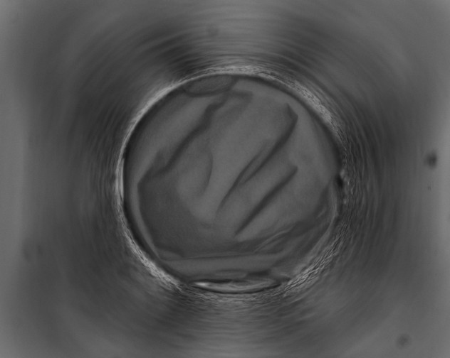 X0000099961084200806201332