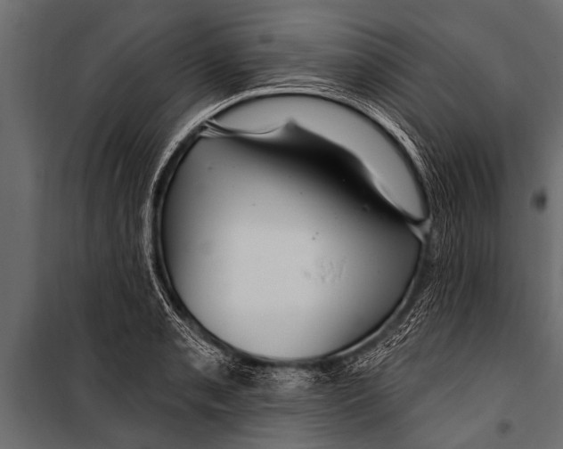 X0000099961085200806201332