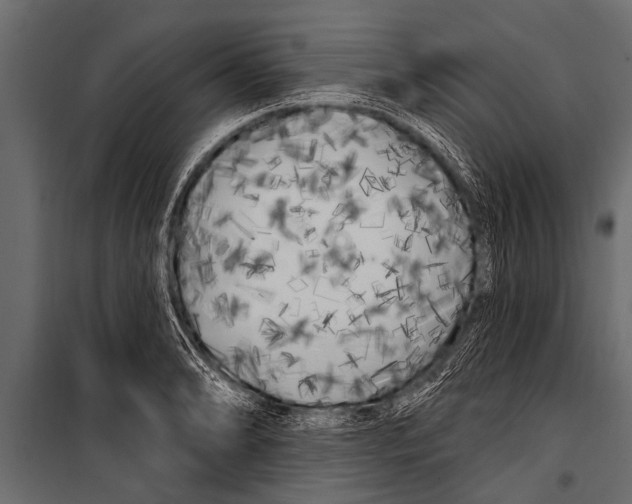 X0000099961086200806201331