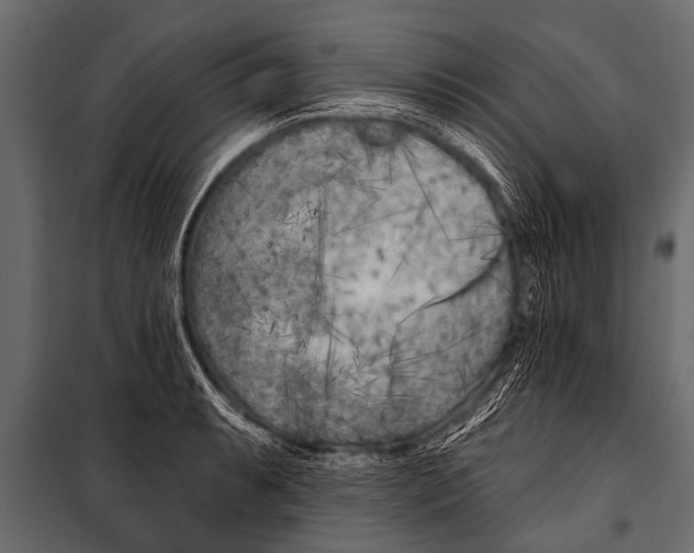 X0000099961087200806201331