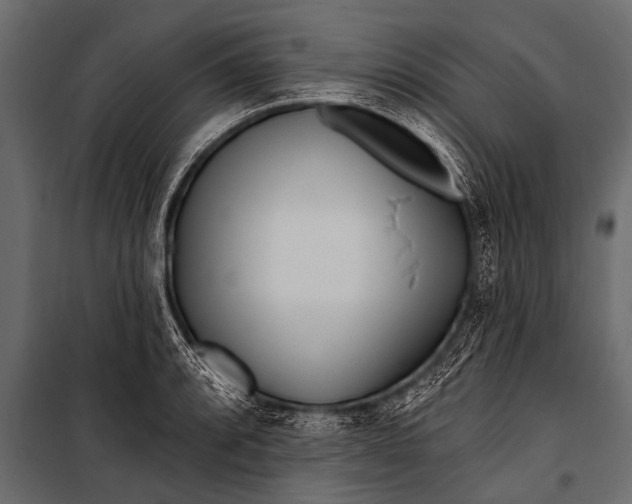 X0000099961088200806201331