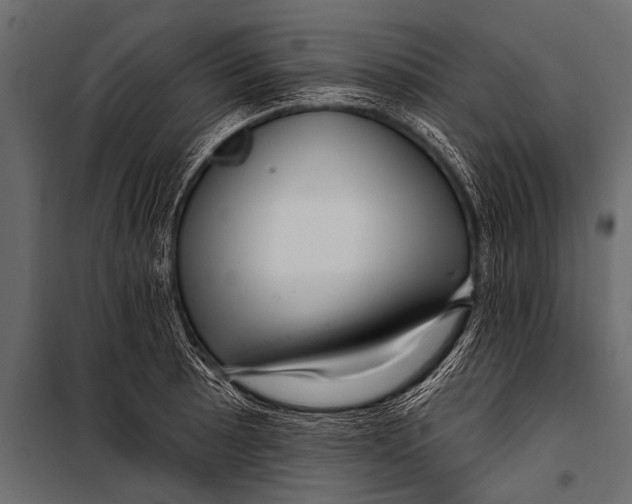 X0000099961089200806201331