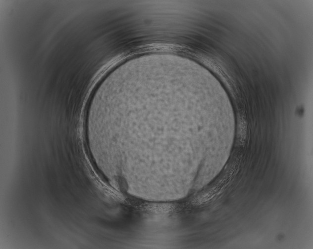 X0000099961090200806201331