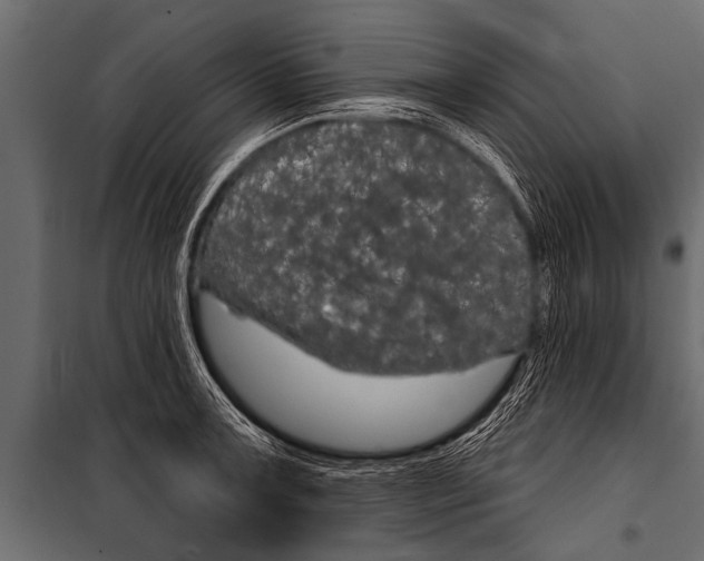 X0000099961091200806201331