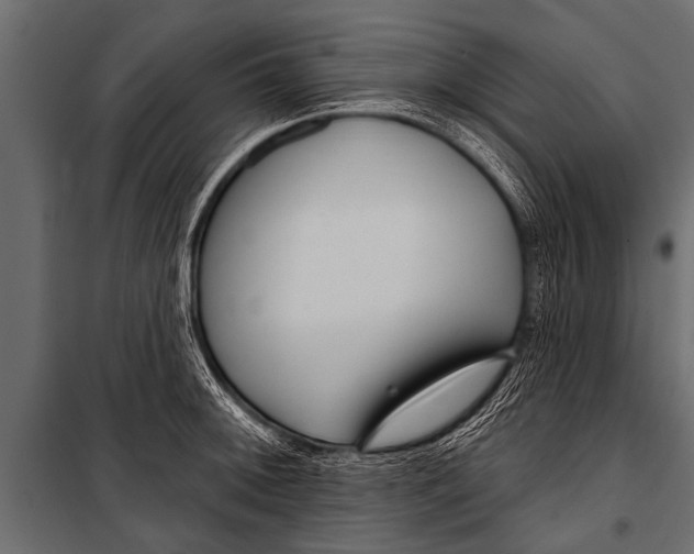 X0000099961092200806201331