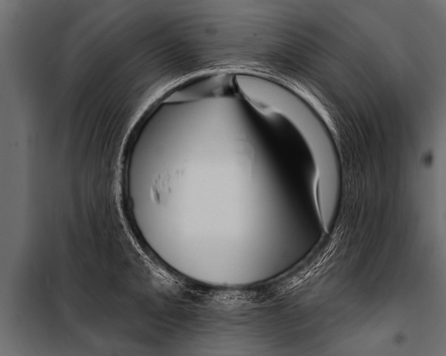 X0000099961093200806201331