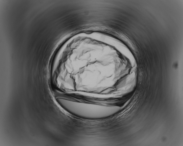 X0000099961095200806201331