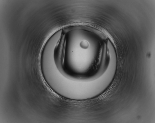 X0000099961096200806201331