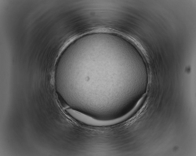 X0000099961097200806201331