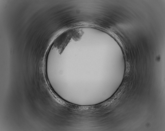 X0000099961098200806201331