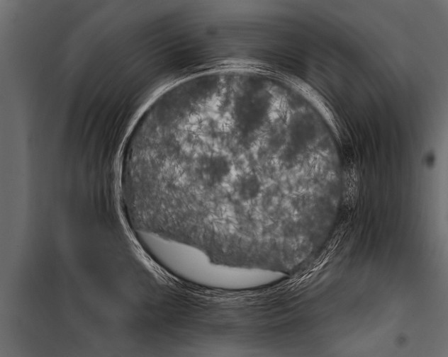 X0000099961099200806201331