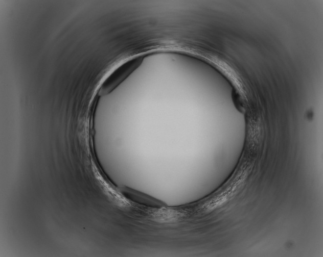 X0000099961100200806201331