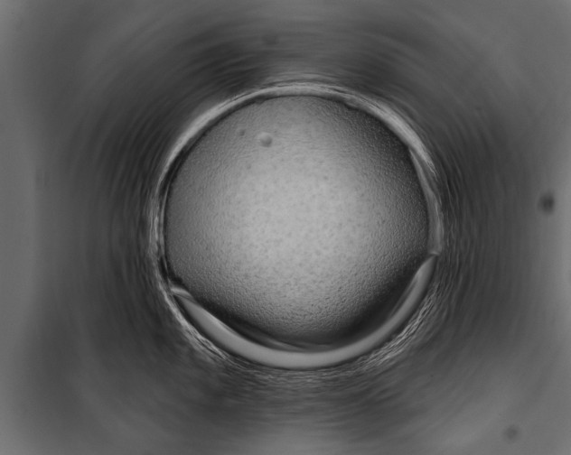 X0000099961101200806201331