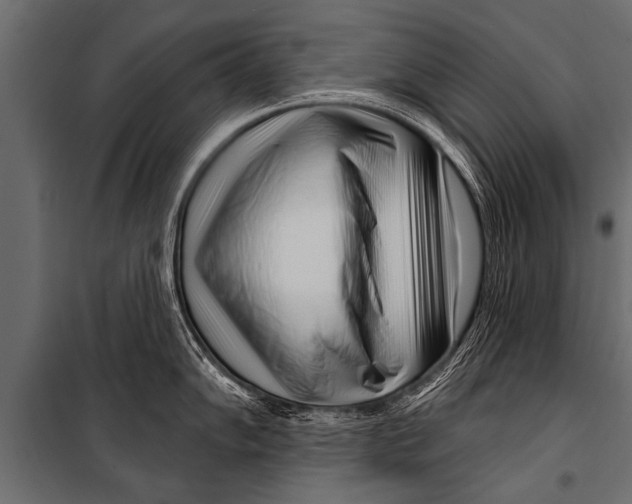 X0000099961102200806201331