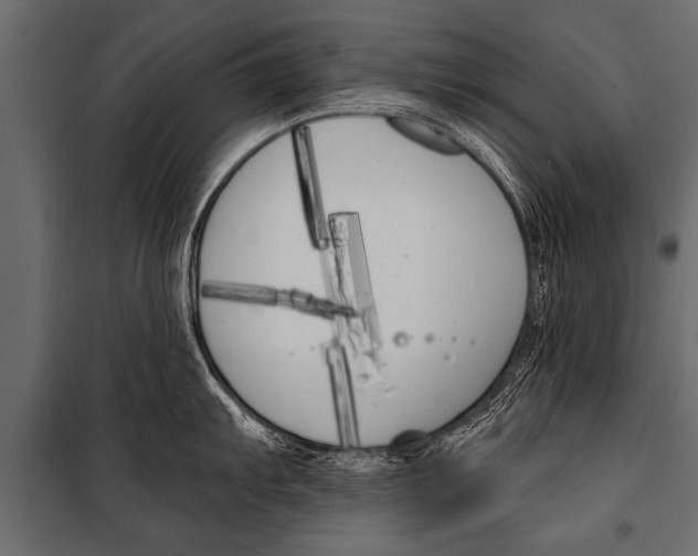 X0000099961103200806201331