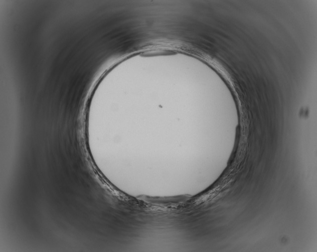 X0000099961104200806201331