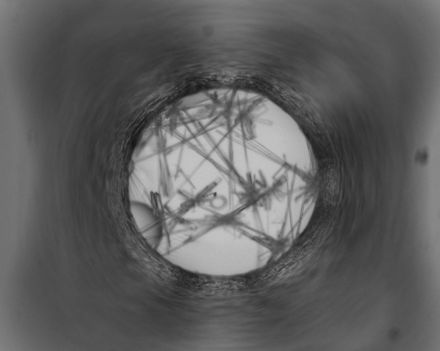 X0000099961105200806201330