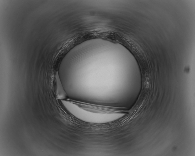 X0000099961108200806201330