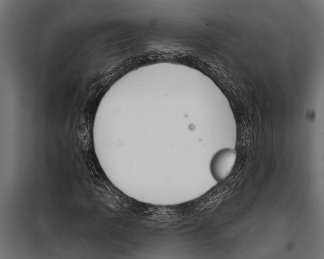 X0000099961109200806201330