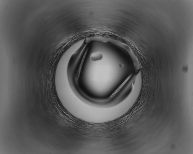 X0000099961110200806201330