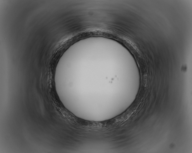 X0000099961111200806201330