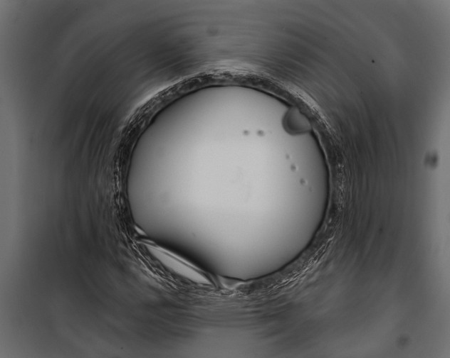 X0000099961112200806201330