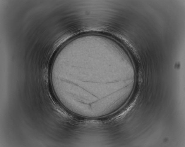 X0000099961113200806201330