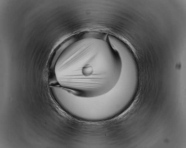 X0000099961114200806201330