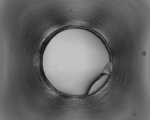 X0000099961115200806201330