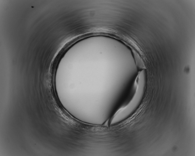 X0000099961116200806201330