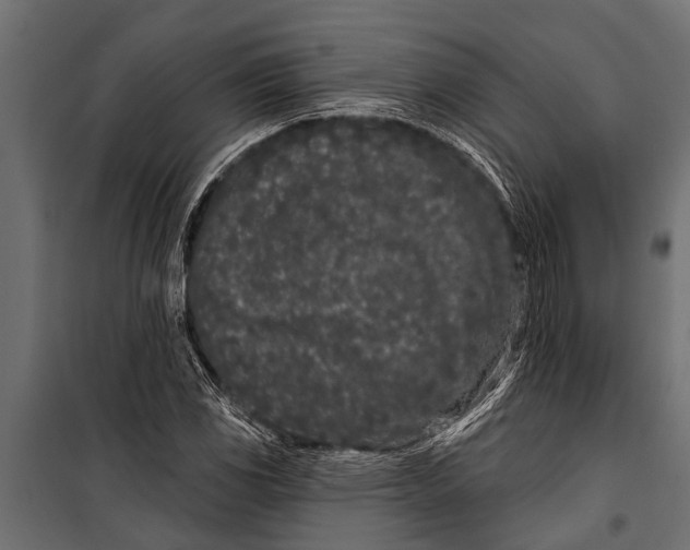 X0000099961117200806201331