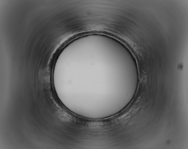 X0000099961118200806201331