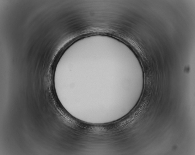 X0000099961119200806201331