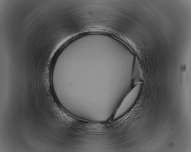 X0000099961120200806201331