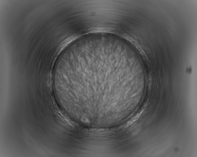 X0000099961121200806201331