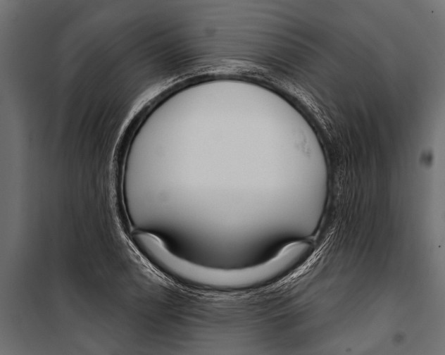 X0000099961122200806201331