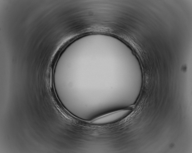 X0000099961123200806201331