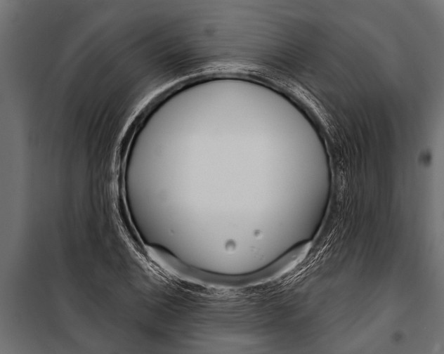 X0000099961124200806201331