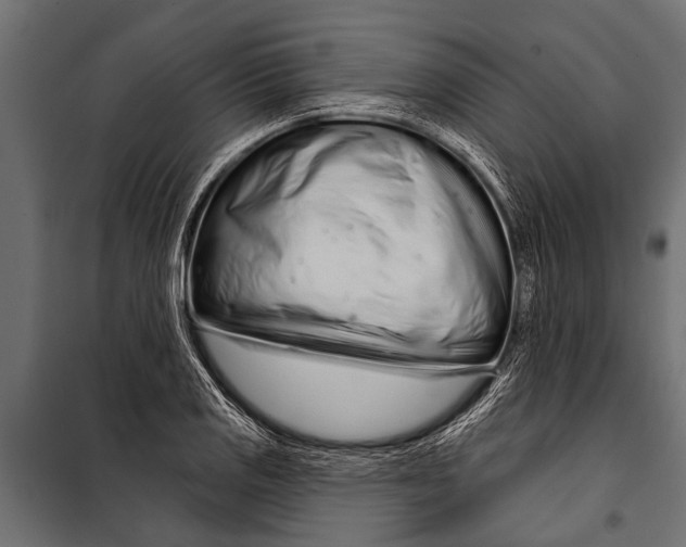 X0000099961125200806201331