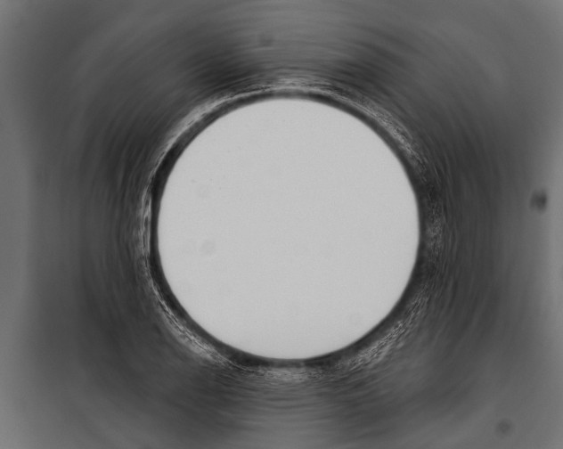 X0000099961126200806201331