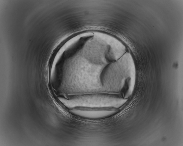 X0000099961127200806201331