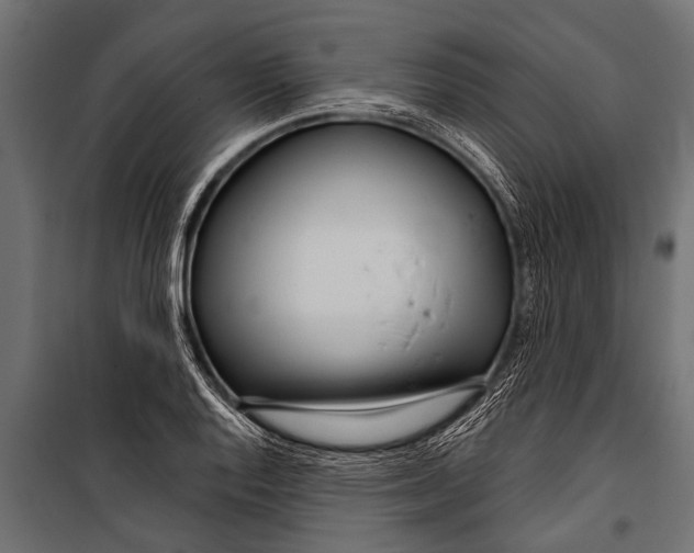 X0000099961128200806201331