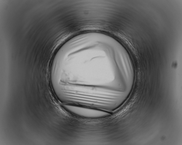 X0000099961129200806201331