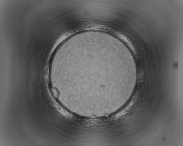 X0000099961130200806201331