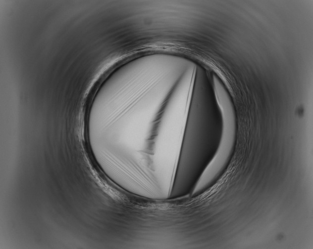 X0000099961131200806201331