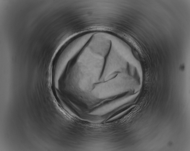 X0000099961132200806201331