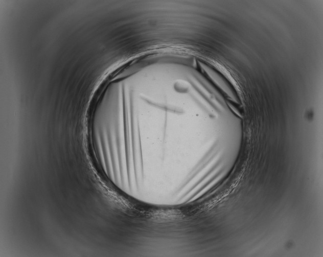 X0000099961133200806201331