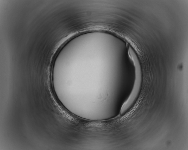 X0000099961134200806201331