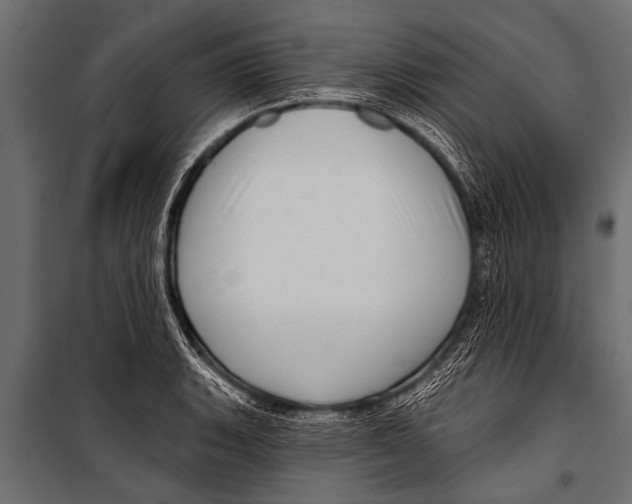 X0000099961135200806201331